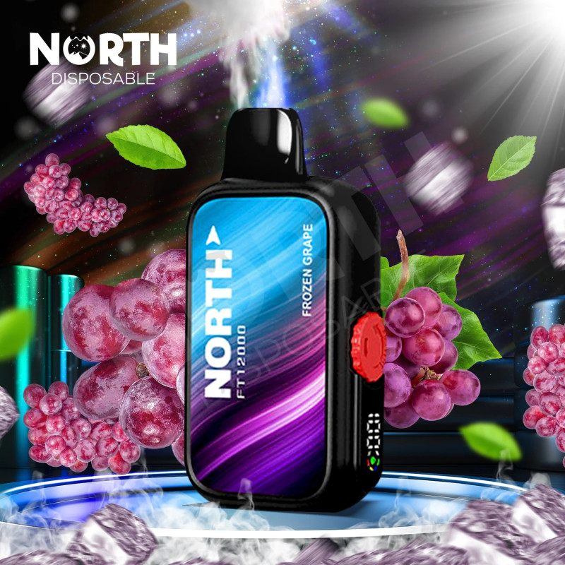 North FT12000 使い捨てデバイス - フローズングレープ