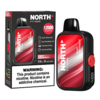 North FT12000 Disposable - Cherry Pomegranate 